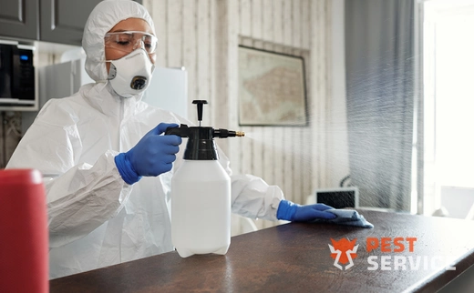 Дезинфекция в Балабаново